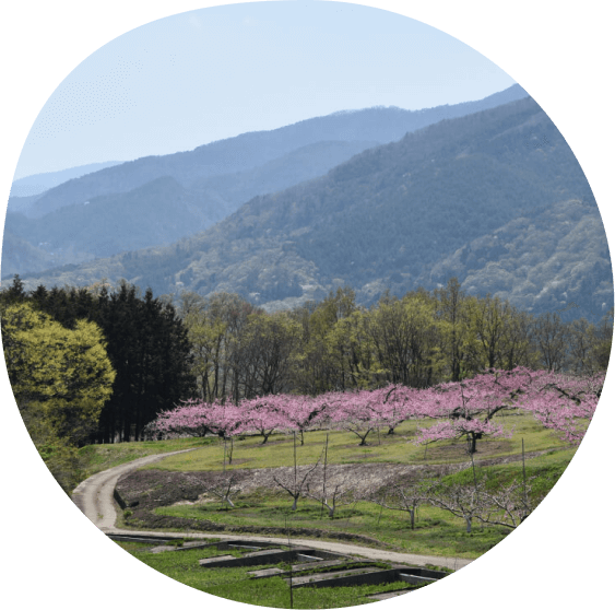 山梨県のどかな自然の画像